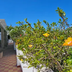 Blife Salinya Private At N125 , Olhão Portugal